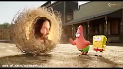 باب&zwnj;اسفنجی &zwnj;در&zwnj;...