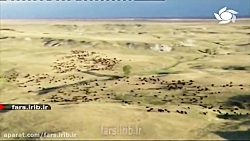 ترانه شاد " دختری به نام آهو "...