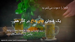 آیا کسی دعوت مرا به صرف یک لیو...