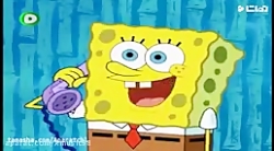 باب اسفنجی  بازدید اختاپوس