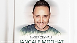 آهنگ ناصر زینلی جنگل موهات