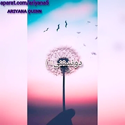 دونسـتنی های جالبـی ک حتـما بـ...