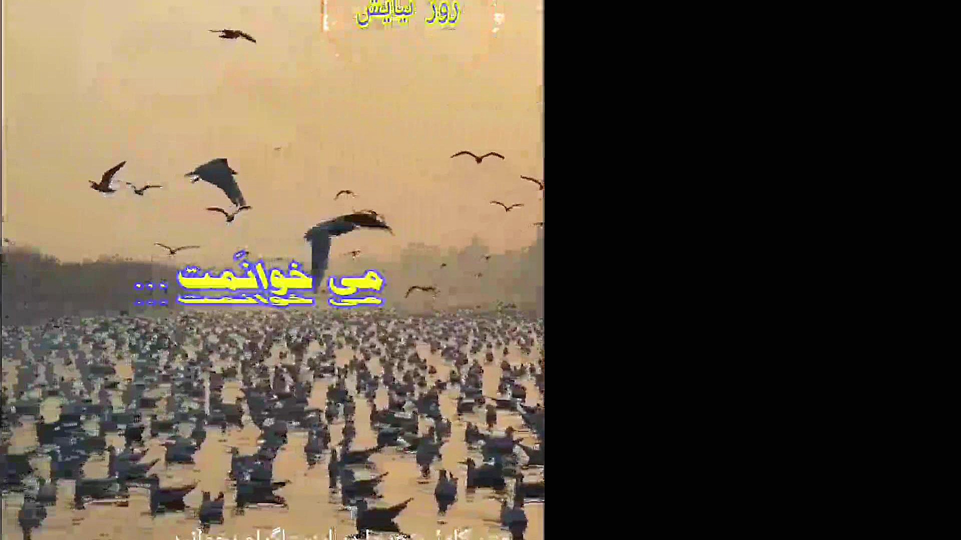 عرفه ، خدا ، عشق (مرداد ۹۹) زهرا علیزاده
