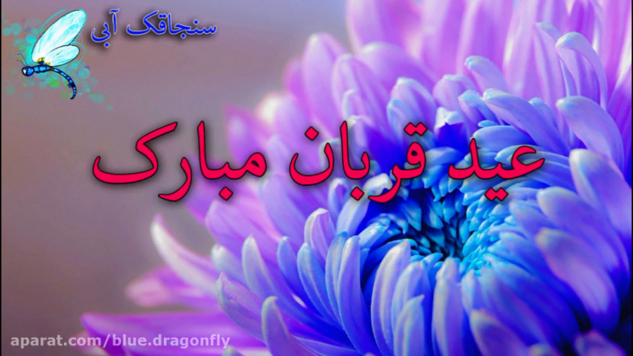 کلیپ تبریک عید قربان - دف نواز...