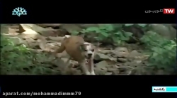 فیلم سینمایی هندی&zwnj; &zwnj;...