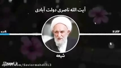 معنای شیعه به روایت امام رضا ع