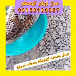 فروشگاه عسل زریان کردستان