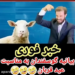 زود نیوز _ بیانیه گوسفندان به...