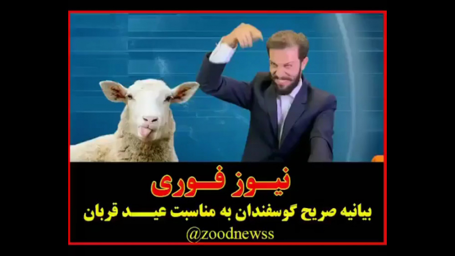 خرید گوسفند برای عید قربان زودنیوز