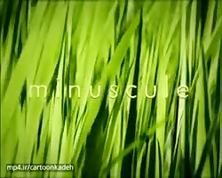 کارتون زندگی حشرات | قسمت 36