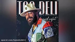 موزیک تو دلی از حمید صفت