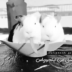 کلیپ عاشقانه و زیبا