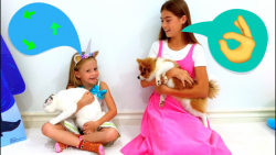 ناستیا :: تعویض گربه با سگ ::...