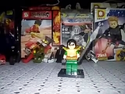 برسی مینیفیگور رابین