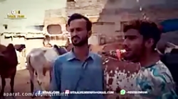 بلوچی تامُر رفیق بلوچ