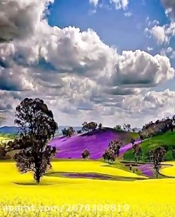 موسیقی اصیل  آهنگ دریای بی پای...