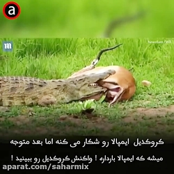 از عجایب طبیعت