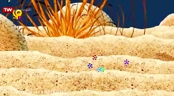 کارتون شن دونه ها  جعبه آبرنگ