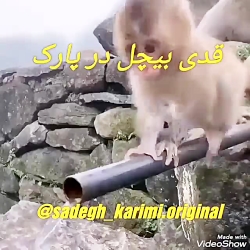 کلیپ طنز کلیپ مسخره کلیپ عالی...