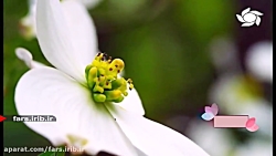 ترانه " حس تو " با صدای آقای م...