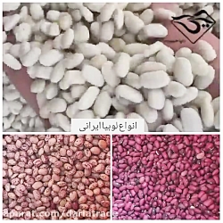 فروش انواع لوبیا