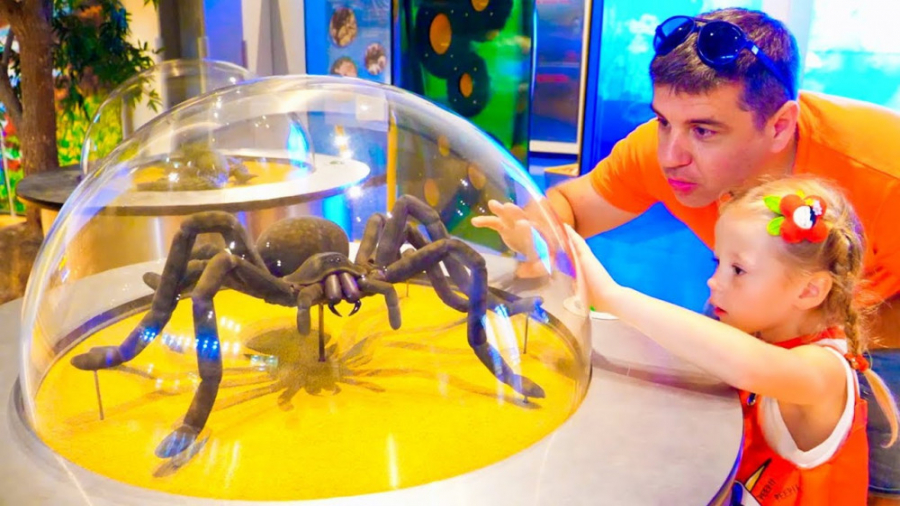 ناستیا :: ماجراجویی با پدر ::...