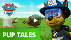 انیمیشن سگهای نگهبان : نجات مر...