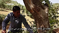 مستند همین زخم هایی که نشمرده...