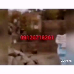 اجرای کف با ورقه ای مالون کوهی...