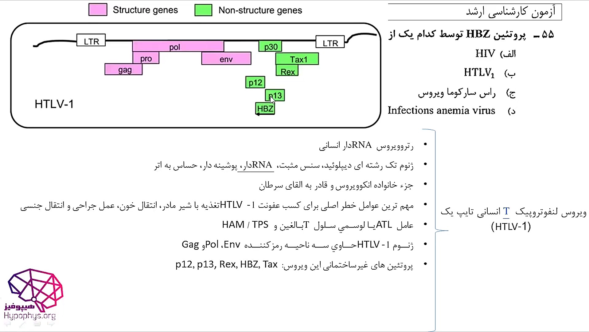 حل تشریحی کارشناسی ارشد مجموعه علوم آز3 درس ویروس شناسی پلی‌داکتیلی