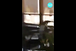 انفجار مهیب بیروت را از 7 زاوی...