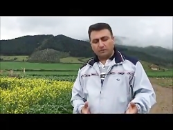 هوش سازمانی چیست ؟ اهمیت هوش س...