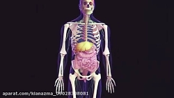 خرید مواد شیمیایی بندر عباس |...