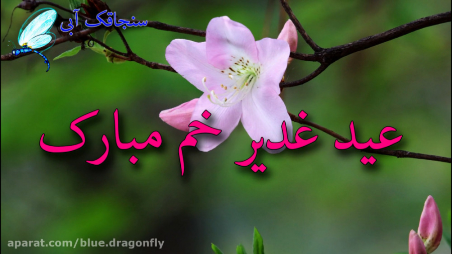 کلیپ تبریک عید غدیر  تبریک عید...