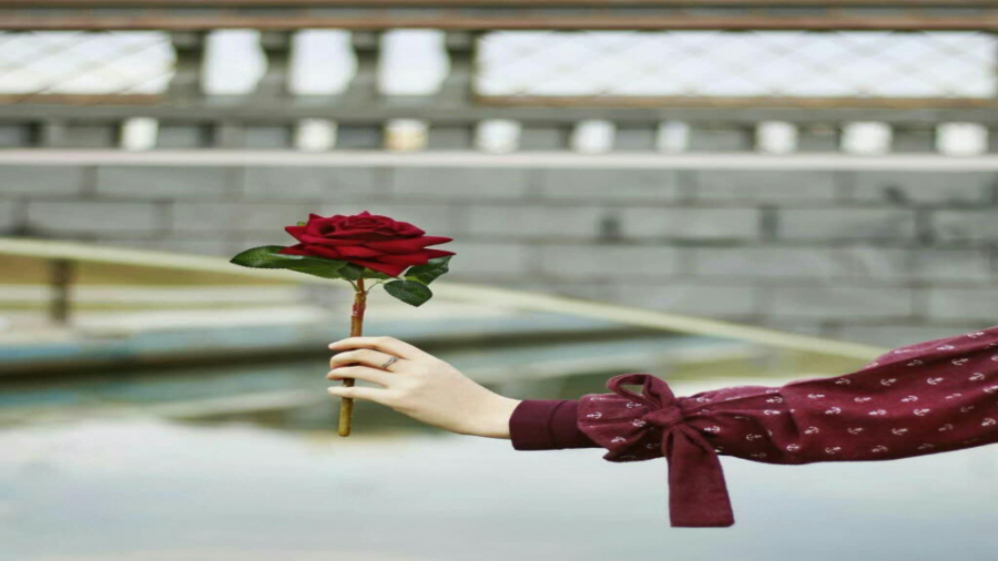 *دنبال=دنبال*مارادنبال کنید