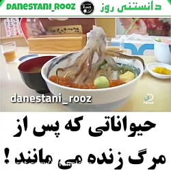 حیواناتی که پس از مرک زنده می...