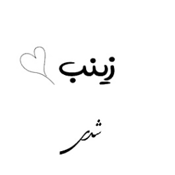 کلیپ عاشقانه_کلیپ اسمی زینب_ ا...