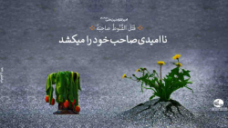 نا امیدی