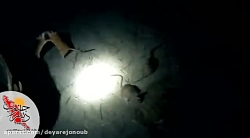 حمله موشها به انبارهای کره بند