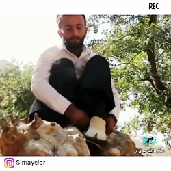 کلیپ عاشقانه | آهنگ لری خاطره...