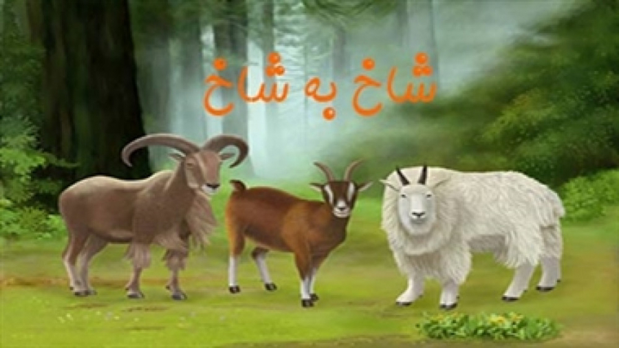 مستند صخره نوردی بزهای کوهی که...