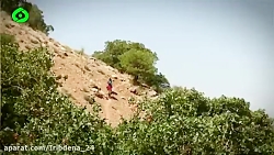 صبح دنا - ناشتایی
