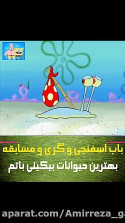 باب اسفنجی و گری و مسابقه بهتر...