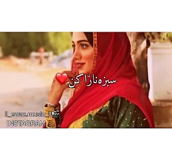 آهنگ قدیمی و شا د بندری.......