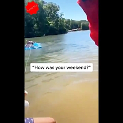 چیکار داری با اون زبون بسته