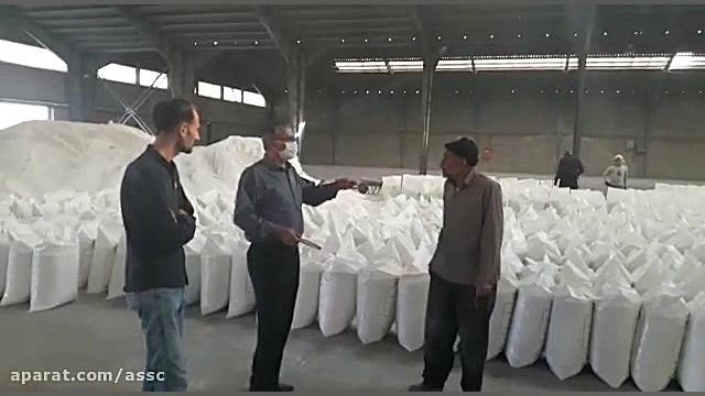 بازدید مدیر از فرآیند کیسه گیری کود اوره فله شرکت خدمات حمایتی کشاورزی اصفهان ویروس‌شناسی انسانی