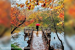 آهنگ ببار ای بارون ببار  شجریا...