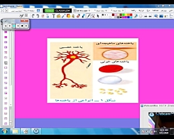 تدریس فصل۱۱ -علوم هفتم -دبیرست...