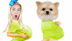 دوستان دیانا و استیسی   مگی