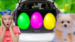 دوستان ناستیا و استیسی   مگی